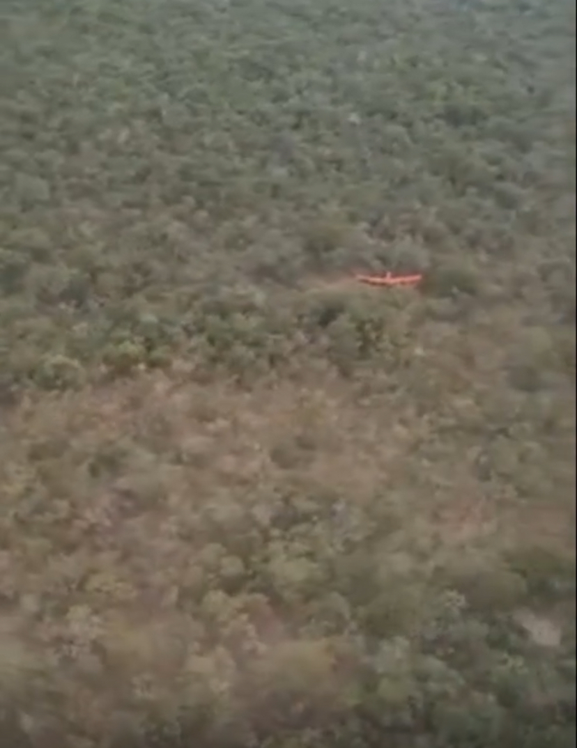 Piloto é resgatado após pouso de avião agrícola em área de mata, em Sapezal (MT)
