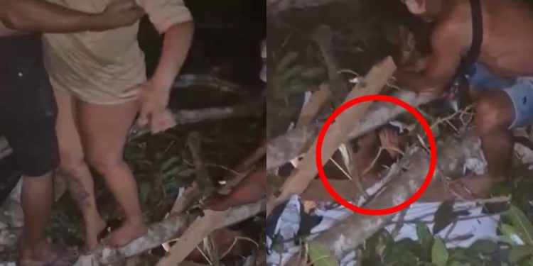 Árvore cai sobre cabaré e casal é resgatado pelado