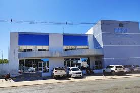 Promotorias Criminais de Primavera do Leste celebram Agosto Lilás