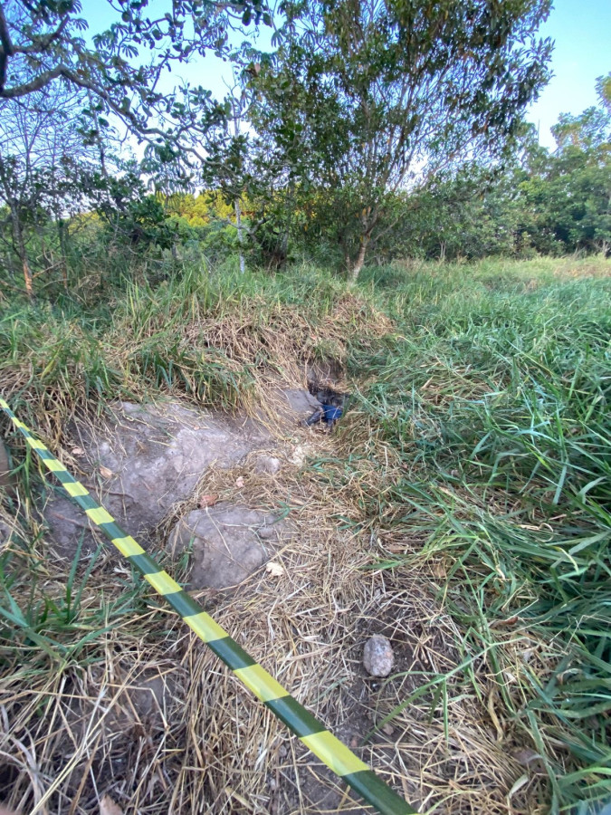 Corpo em estado avançado de decomposição é encontrado em matagal próximo ao Albergue Municipal em Primavera do Leste