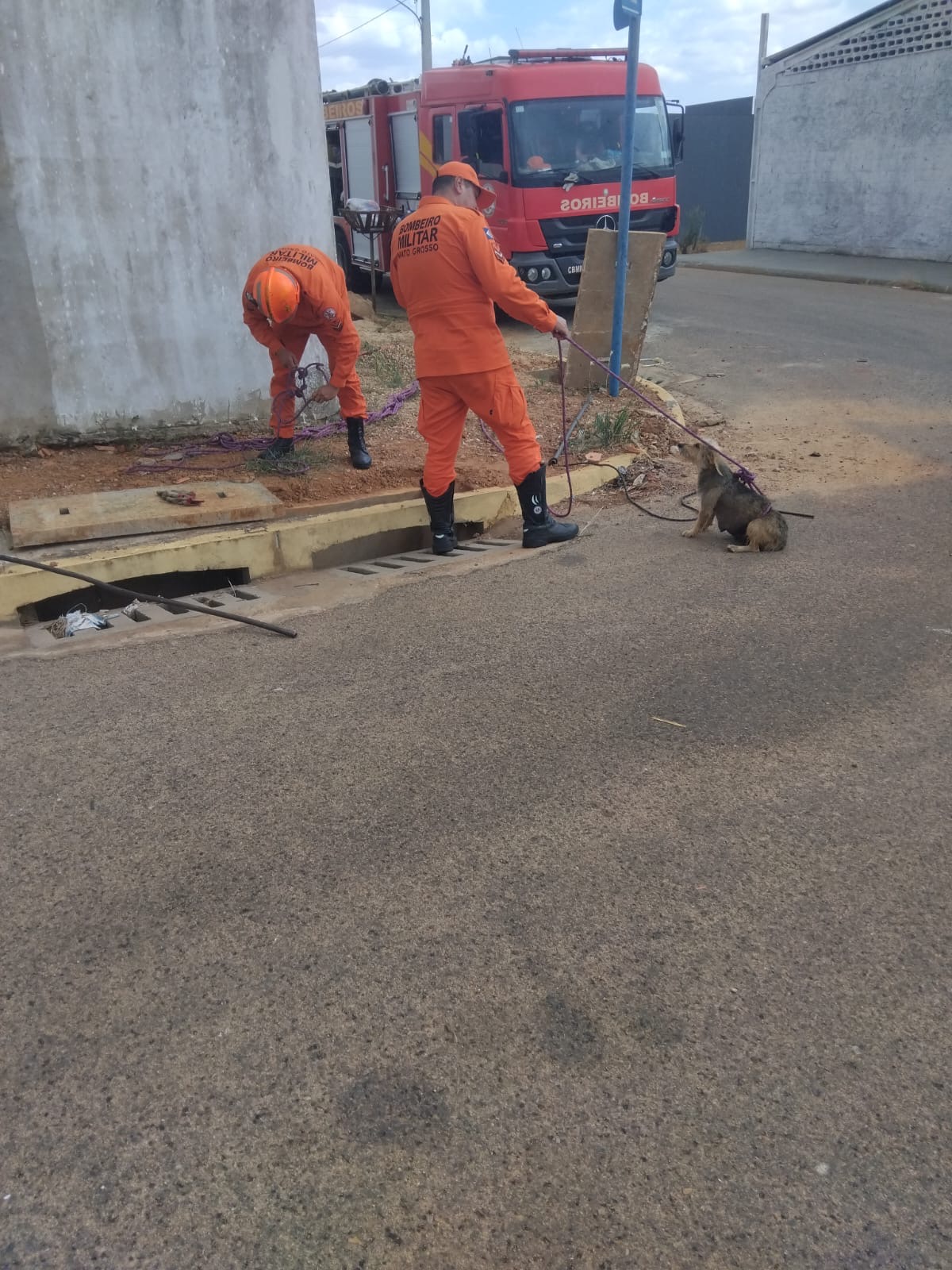 Bombeiros resgatam filhotes de cachorro presos em bueiro no Bairro Buritis Universitário