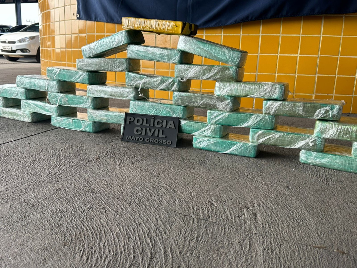 Carga de cocaina avaliada em mais de dois milhões e meio é interceptada