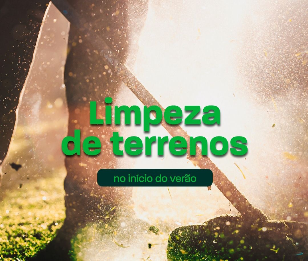 SAMA intensifica fiscalização de terrenos baldios e anuncia aplicação de multas em Primavera do Leste 