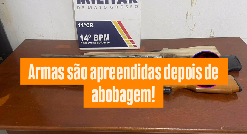 Jovem é detido com munições e armas em Primavera do Leste